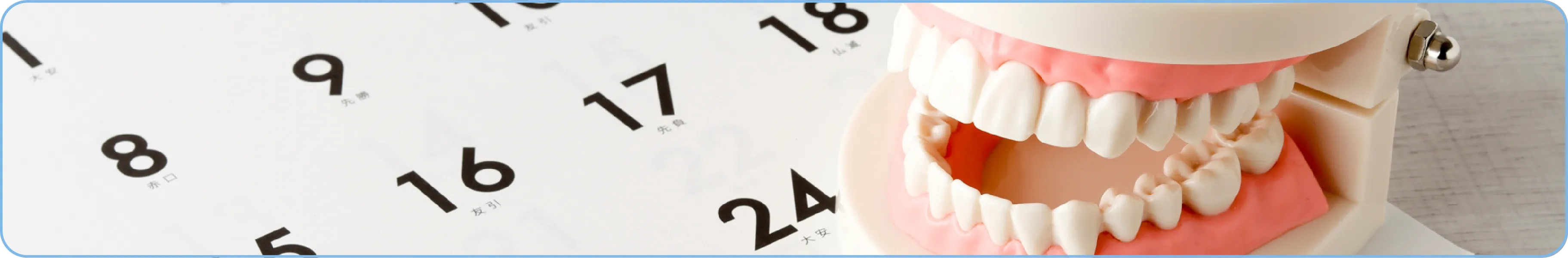 生涯健康な歯で過ごすために予防歯科・定期健診